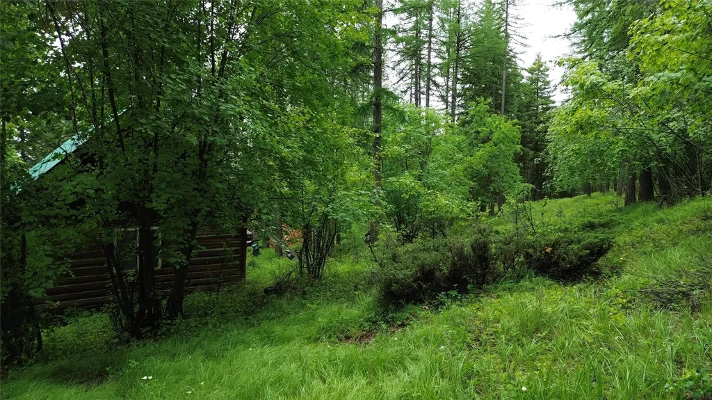 318 Lone Star Trail Kalispell MT 59901