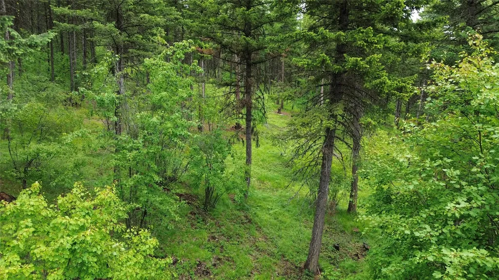318 Lone Star Trail Kalispell MT 59901