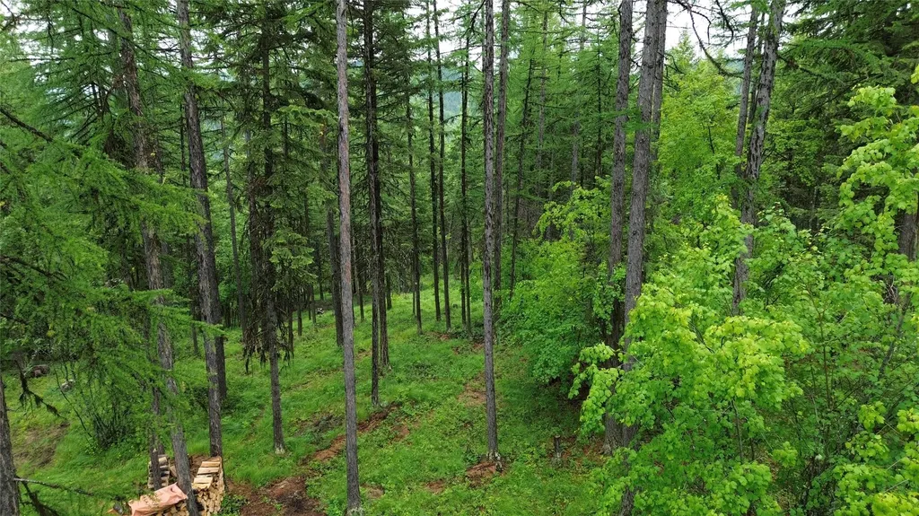 318 Lone Star Trail Kalispell MT 59901