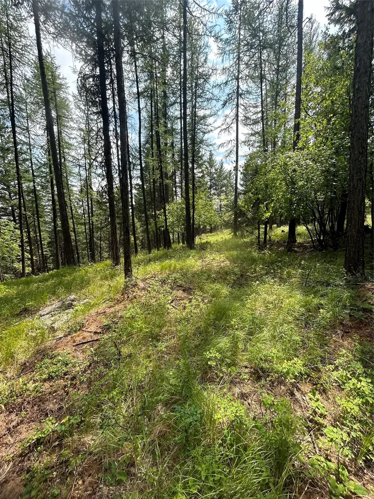 318 Lone Star Trail Kalispell MT 59901