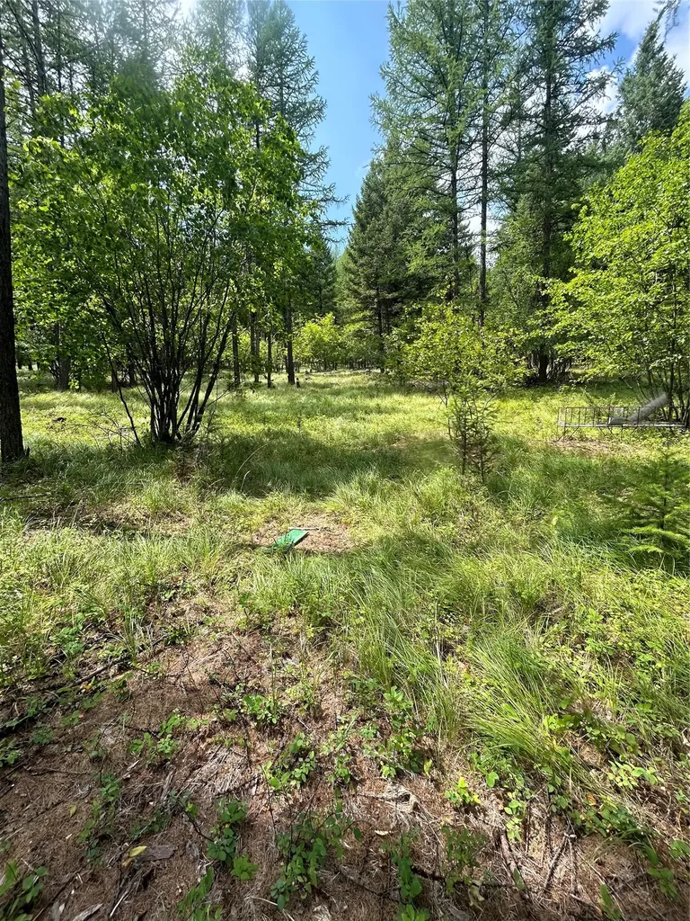 318 Lone Star Trail Kalispell MT 59901