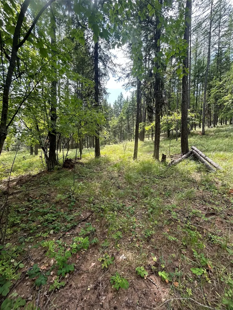 318 Lone Star Trail Kalispell MT 59901