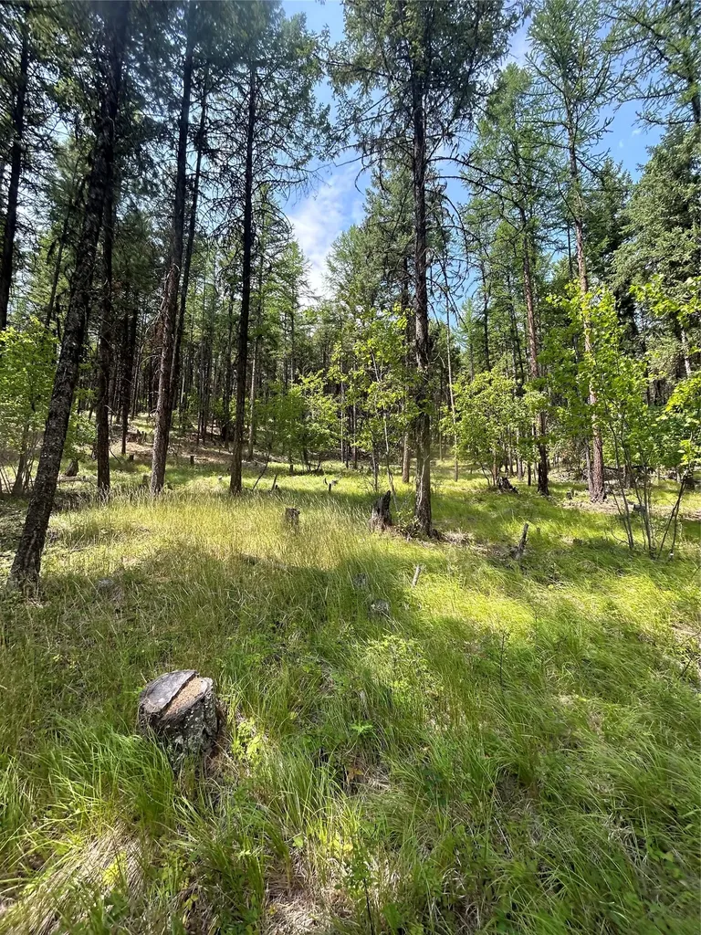 318 Lone Star Trail Kalispell MT 59901
