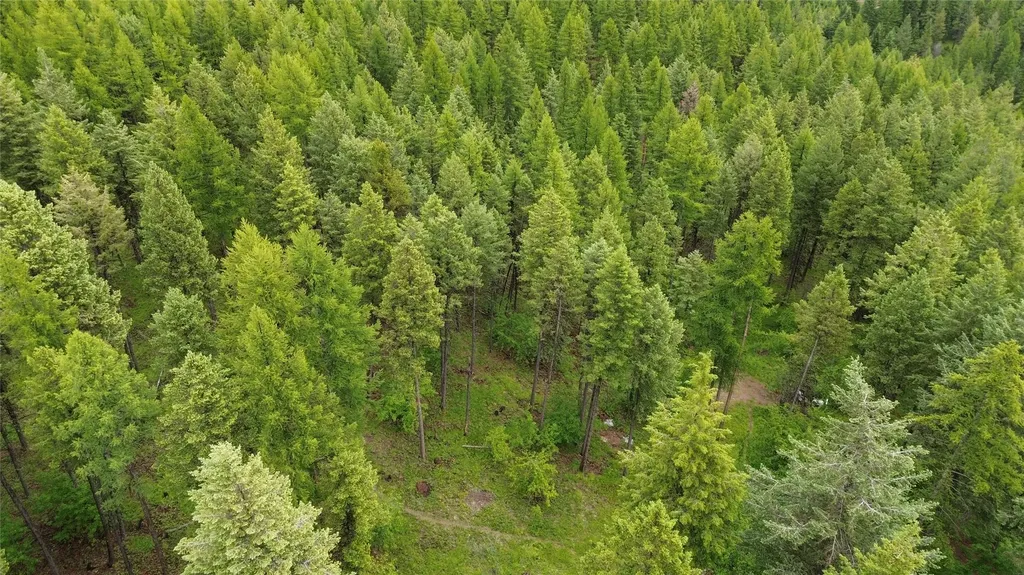 318 Lone Star Trail Kalispell MT 59901