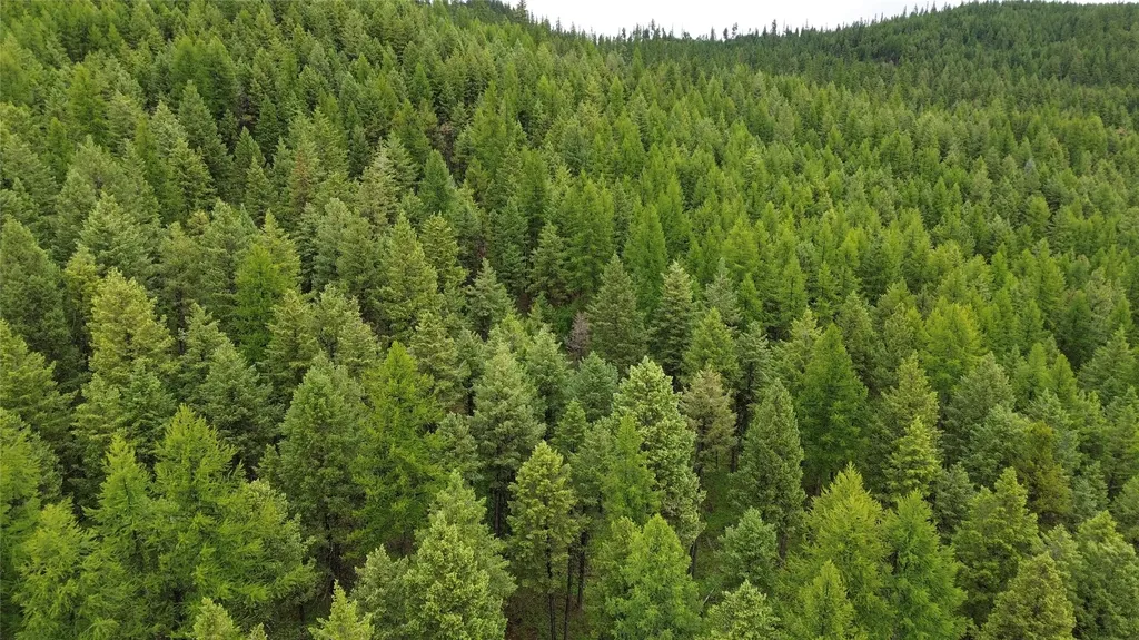 318 Lone Star Trail Kalispell MT 59901