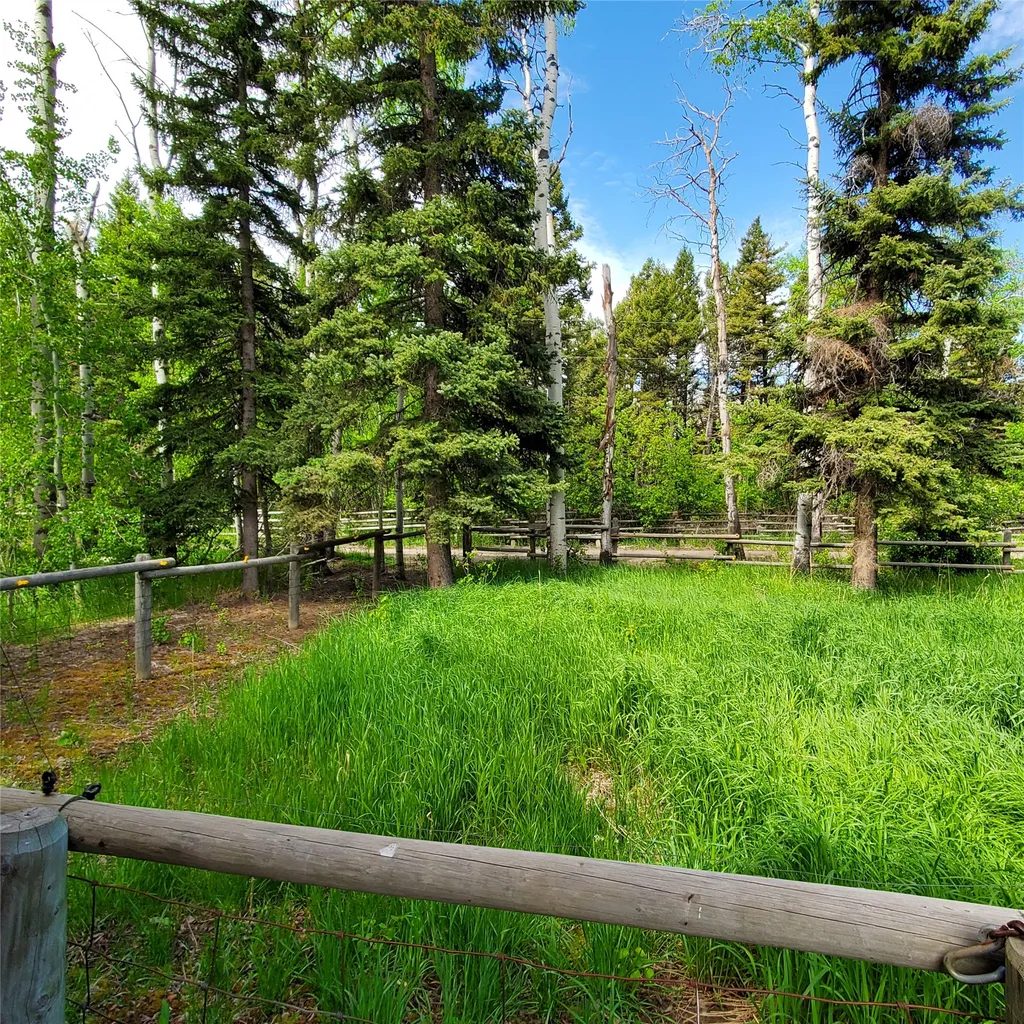15426 Steamboat Drive Augusta MT 59410