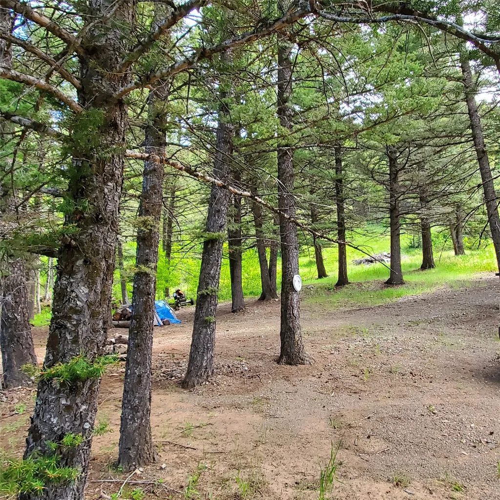 15426 Steamboat Drive Augusta MT 59410