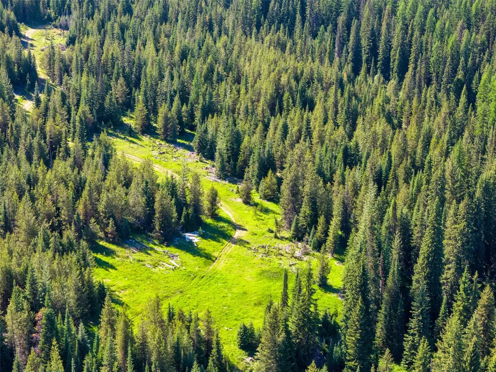 Unk Packer Creek Road Haugan MT 59842