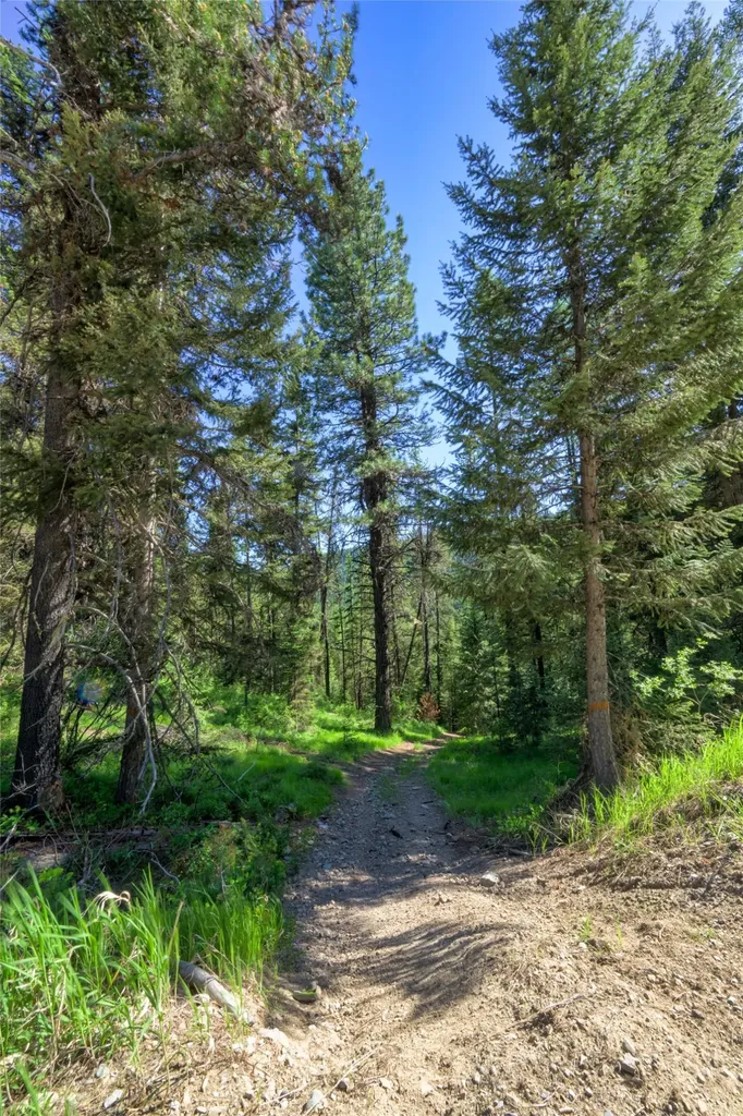 Unk Packer Creek Road Haugan MT 59842