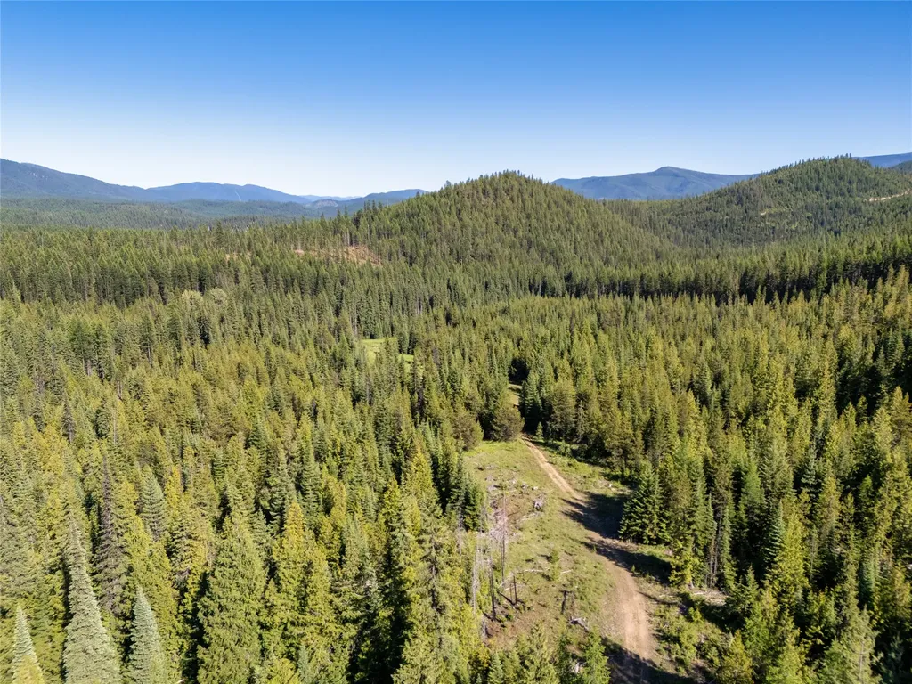 Unk Packer Creek Road Haugan MT 59842