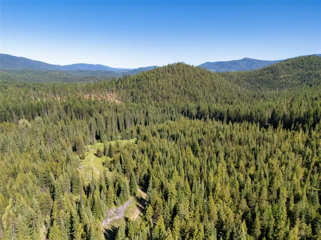 Unk Packer Creek Road Haugan MT 59842