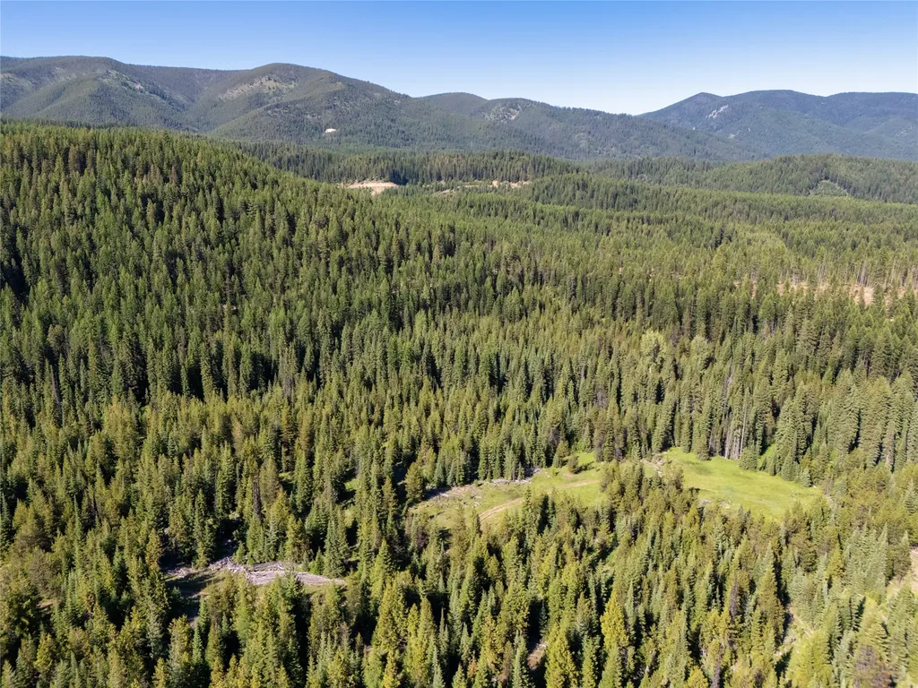 Unk Packer Creek Road Haugan MT 59842