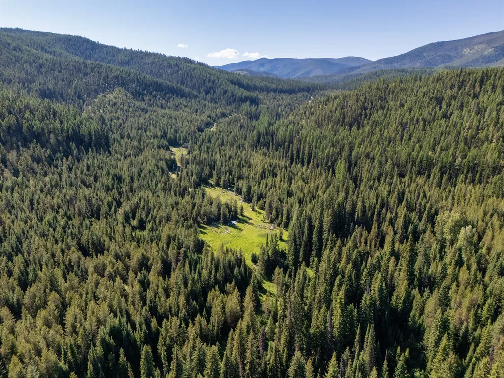 Unk Packer Creek Road Haugan MT 59842