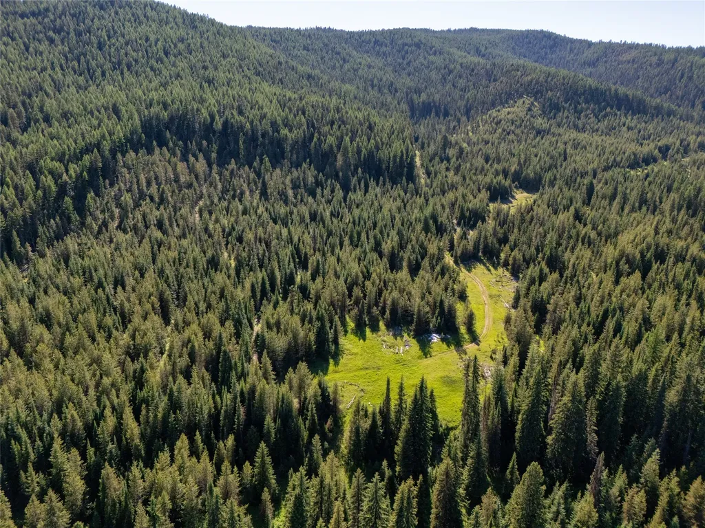 Unk Packer Creek Road Haugan MT 59842