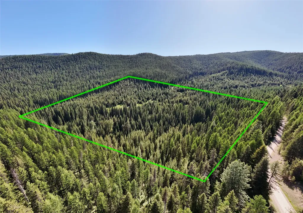 Unk Packer Creek Road Haugan MT 59842