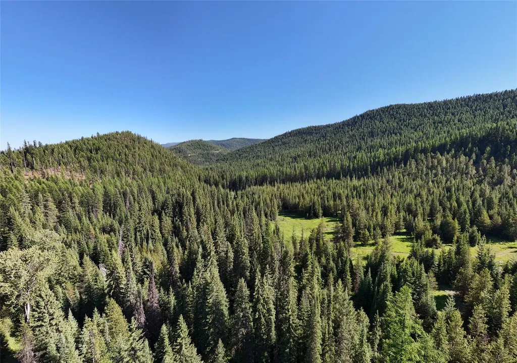 Unk Packer Creek Road Haugan MT 59842