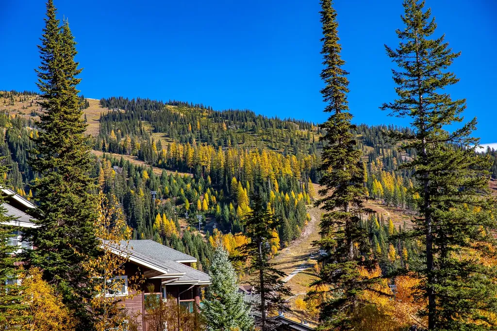 3855 Gelande Street Whitefish MT 59937