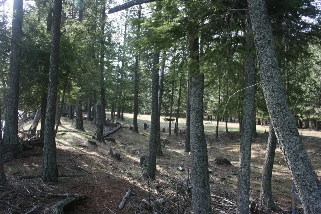 Nhn Tract 1-e River Road W Plains MT 59859