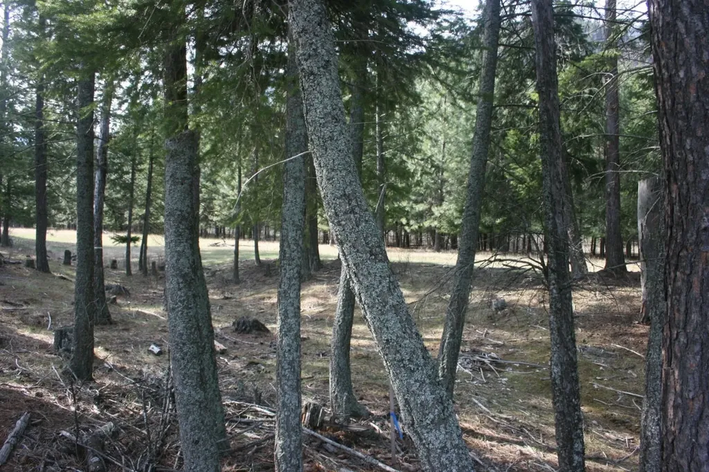 Nhn Tract 1-e River Road W Plains MT 59859
