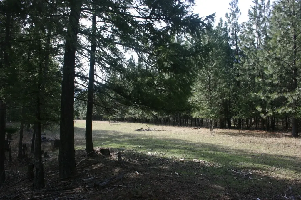 Nhn Tract 1-e River Road W Plains MT 59859