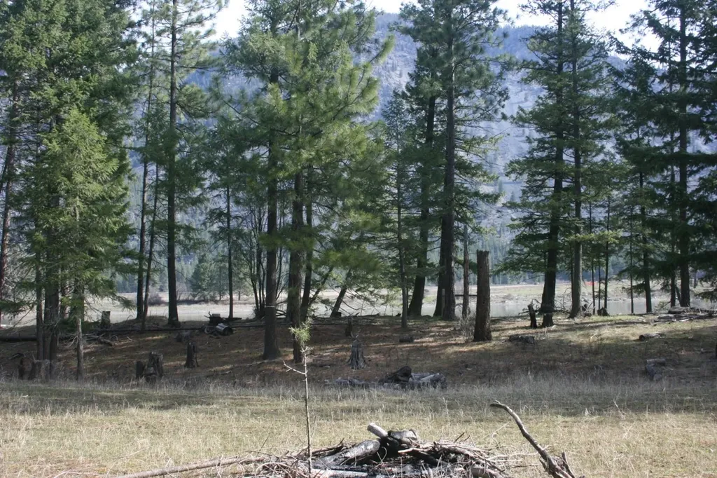 Nhn Tract 1-e River Road W Plains MT 59859