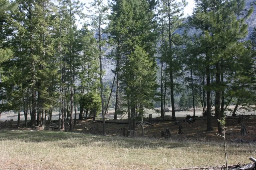 Nhn Tract 1-e River Road W Plains MT 59859