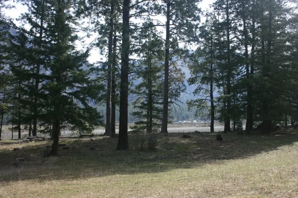 Nhn Tract 1-e River Road W Plains MT 59859