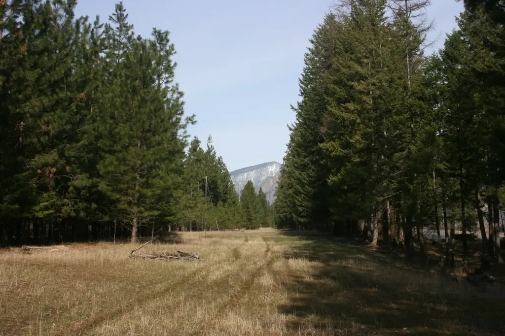 Nhn Tract 1-e River Road W Plains MT 59859