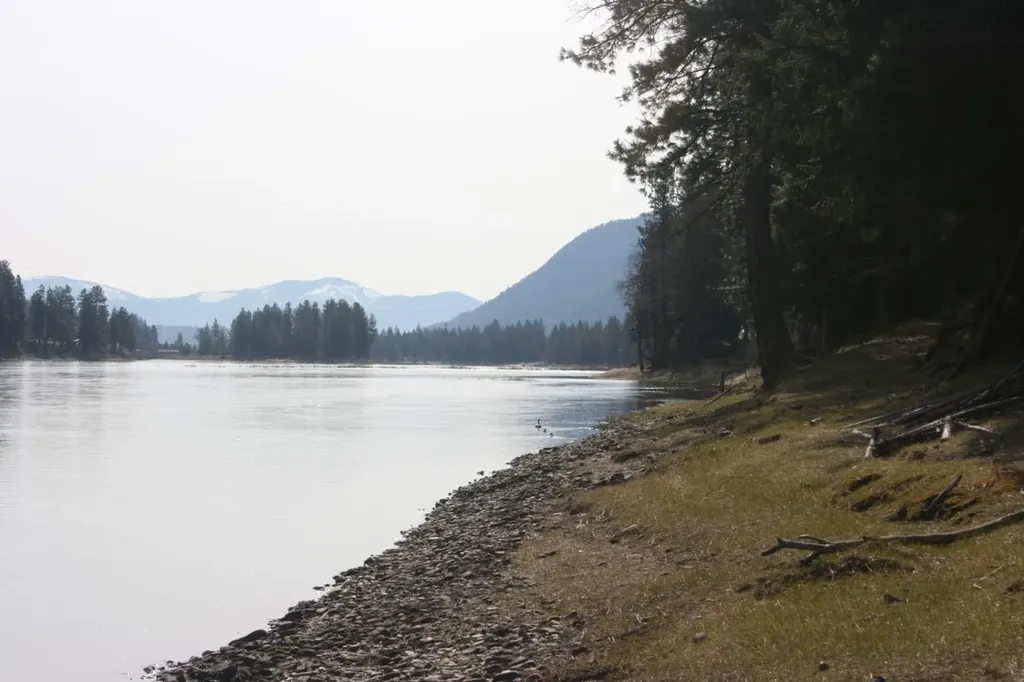 Nhn Tract 1-e River Road W Plains MT 59859