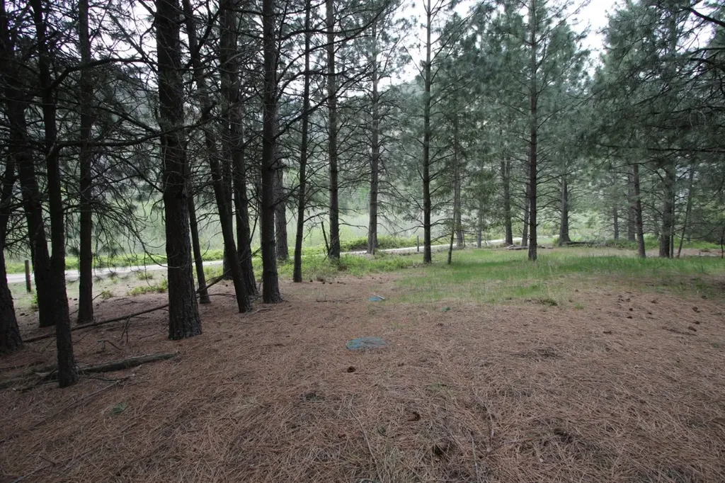 Nhn Tract 1-e River Road W Plains MT 59859