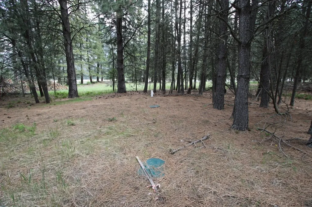 Nhn Tract 1-e River Road W Plains MT 59859