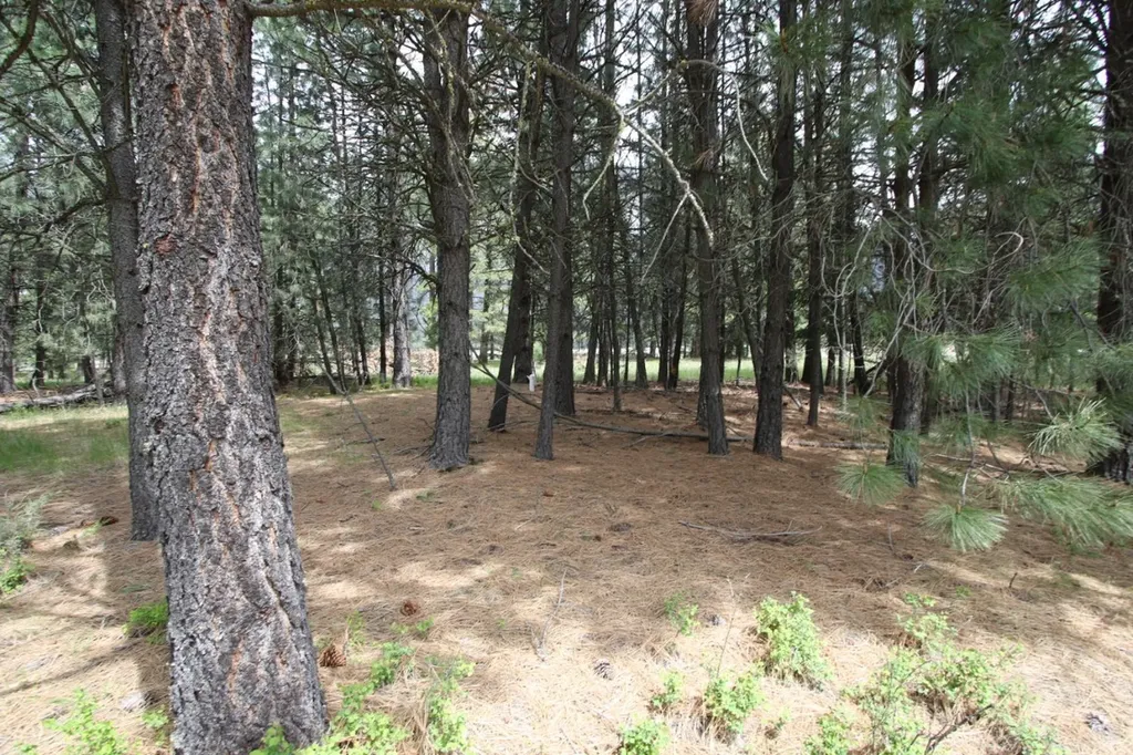 Nhn Tract 1-e River Road W Plains MT 59859