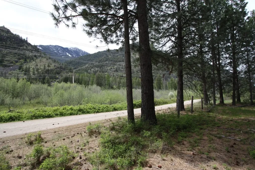 Nhn Tract 1-e River Road W Plains MT 59859