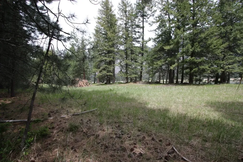 Nhn Tract 1-e River Road W Plains MT 59859