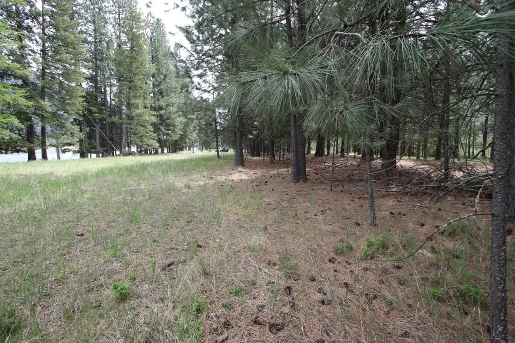 Nhn Tract 1-e River Road W Plains MT 59859