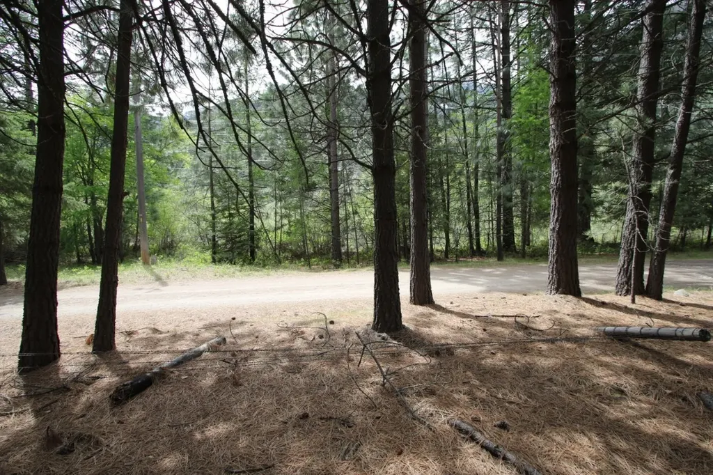 Nhn Tract 1-e River Road W Plains MT 59859