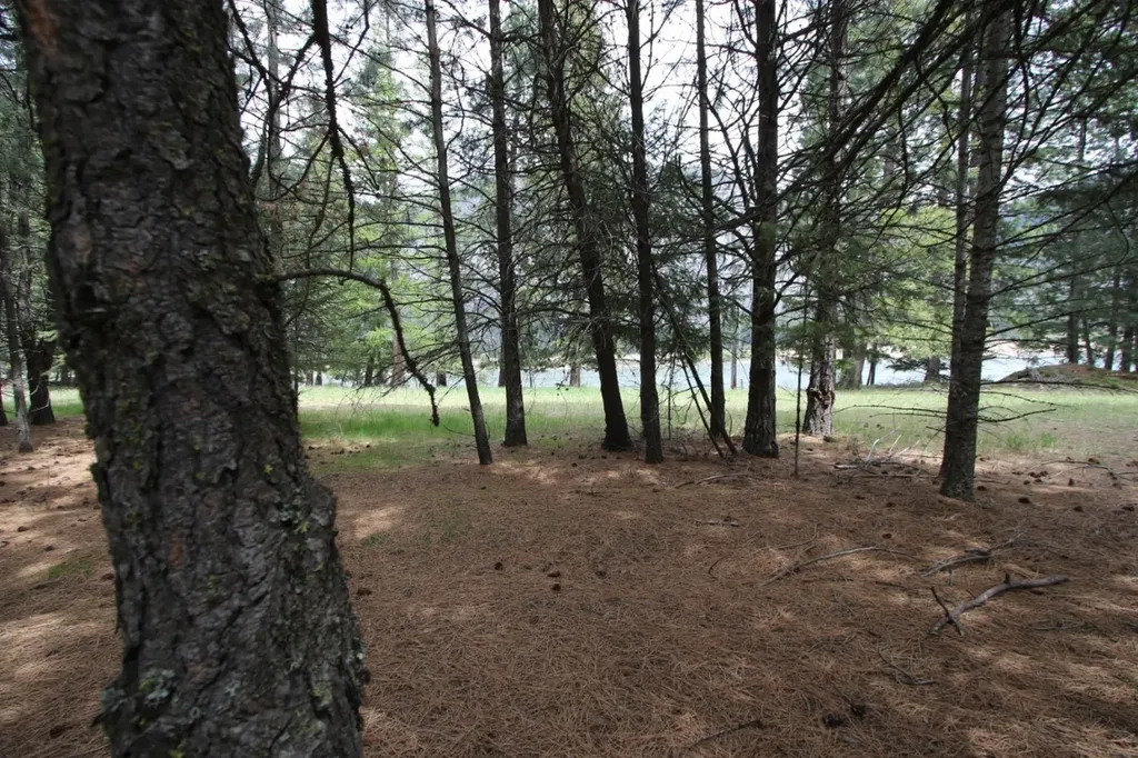 Nhn Tract 1-e River Road W Plains MT 59859