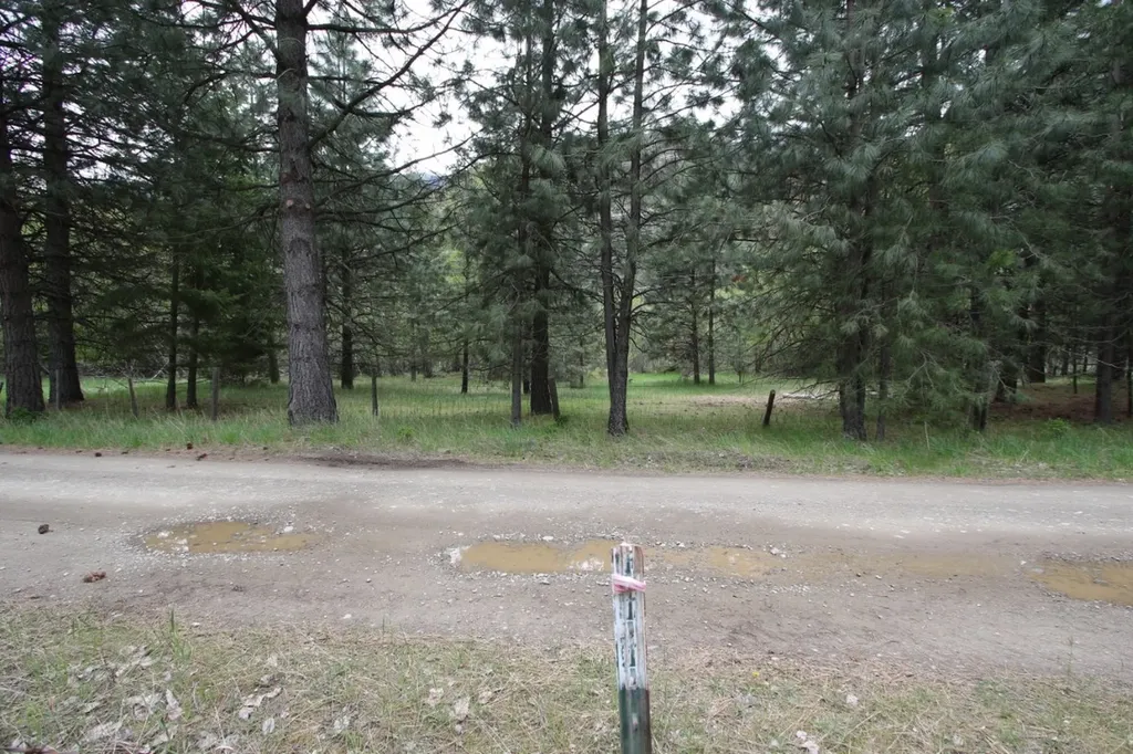Nhn Tract 1-e River Road W Plains MT 59859