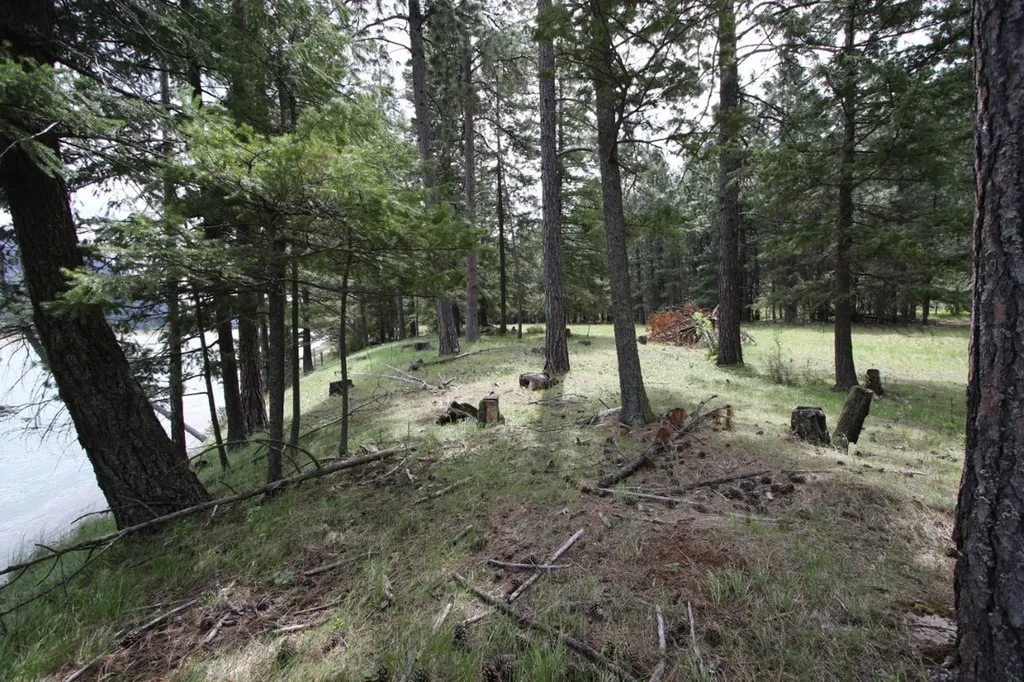 Nhn Tract 1-d River Road W Plains MT 59859