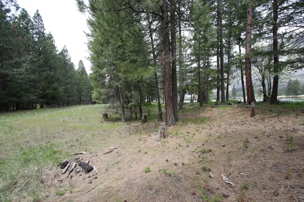 Nhn Tract 1-d River Road W Plains MT 59859