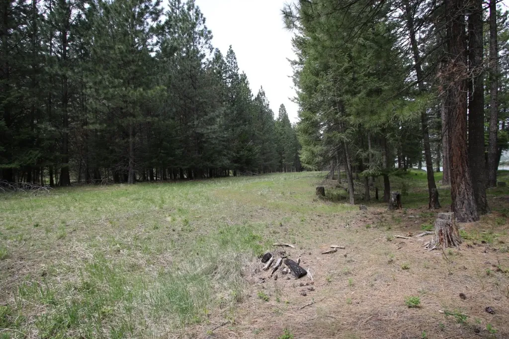 Nhn Tract 1-d River Road W Plains MT 59859