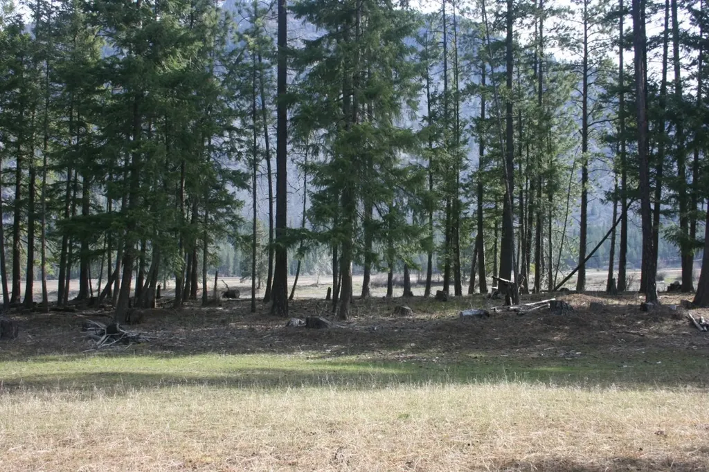 Nhn Tract 1-d River Road W Plains MT 59859