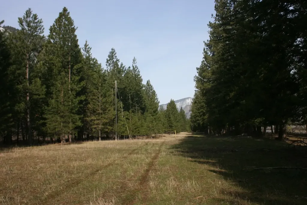Nhn Tract 1-d River Road W Plains MT 59859