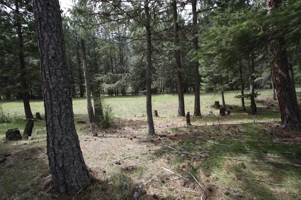 Nhn Tract 1-d River Road W Plains MT 59859