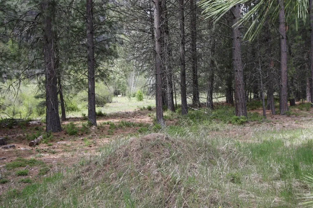 Nhn Tract 1-d River Road W Plains MT 59859
