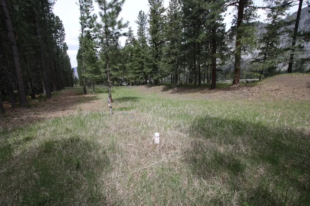Nhn Tract 1-d River Road W Plains MT 59859