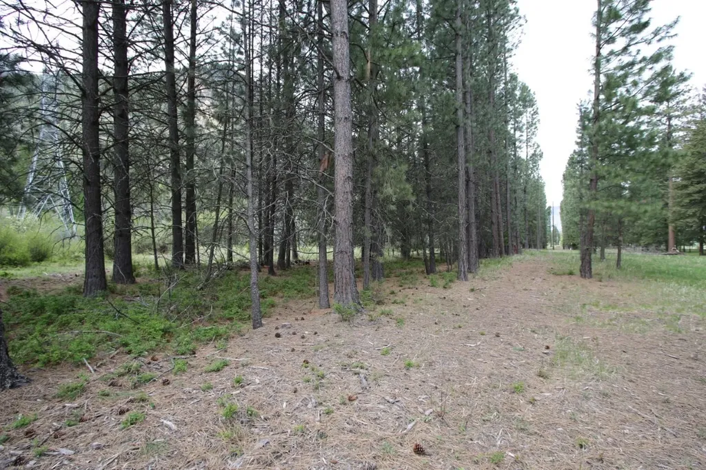 Nhn Tract 1-d River Road W Plains MT 59859