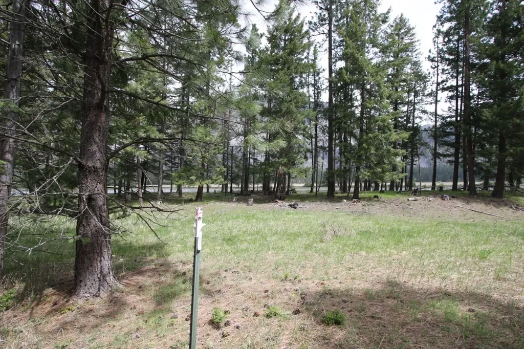 Nhn Tract 1-d River Road W Plains MT 59859