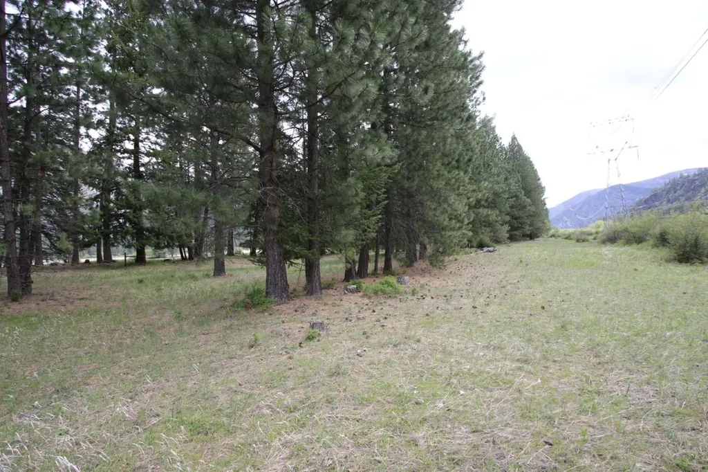 Nhn Tract 1-d River Road W Plains MT 59859