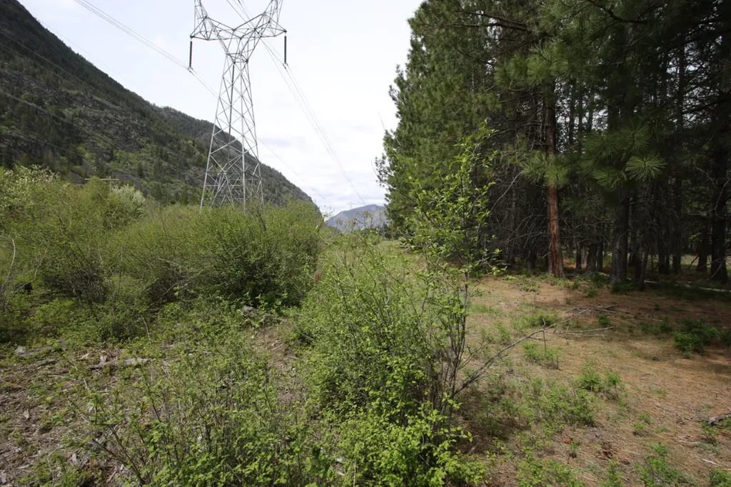 Nhn Tract 1-d River Road W Plains MT 59859